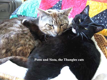 thangles cats hugging